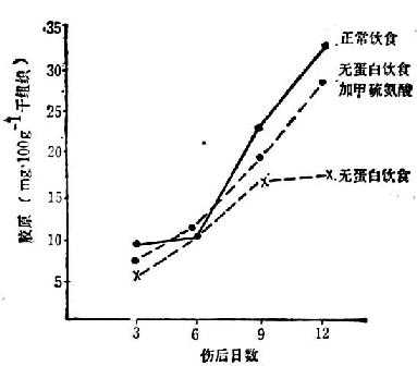 linchuangyingyangxue165.jpg