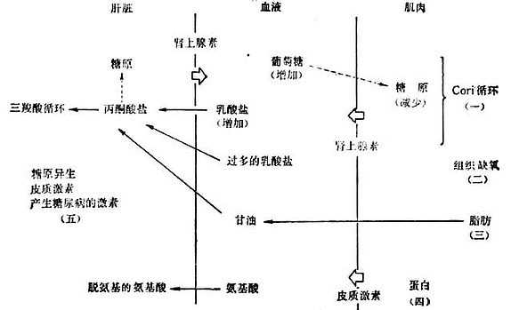 linchuangyingyangxue155.jpg