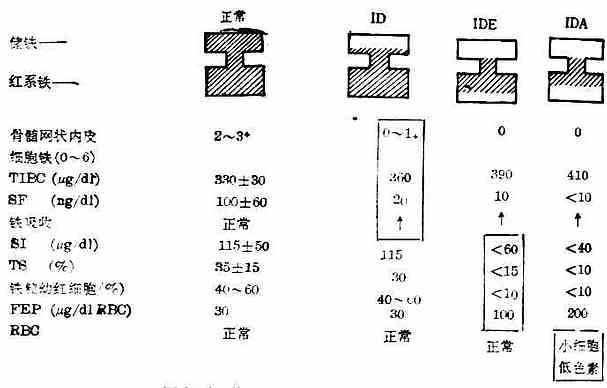 linchuangyingyangxue111.jpg