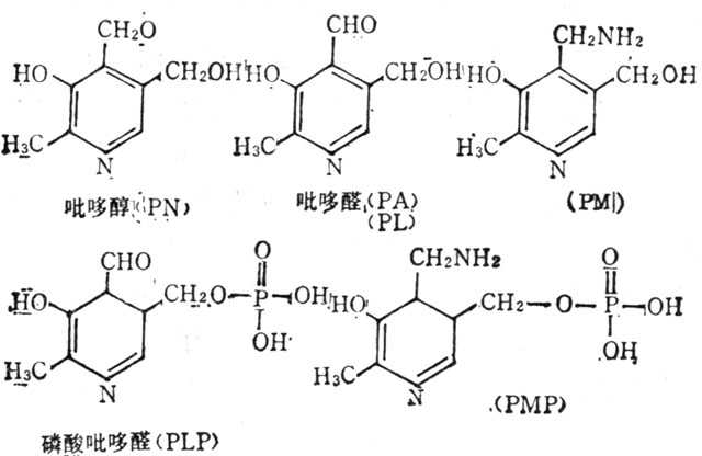 άB6丨øĽṹʽ 